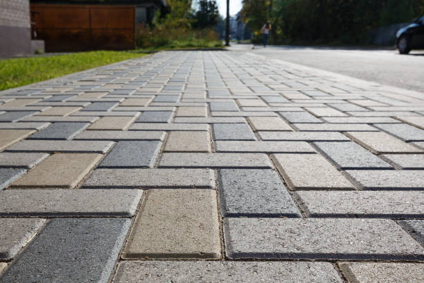 Best Custom Driveway Pavers  in Maple Grove, MN